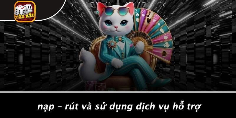 Liên Hệ: Bí Kíp Kết Nối Khi Chơi Tài Xỉu 3 Liên hệ