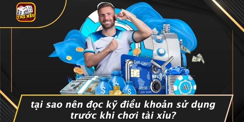 Điều khoản sử dụng