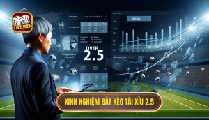 Kinh nghiệm bắt kèo tài xỉu 2.5