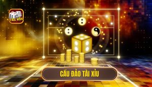 cầu đảo tài xỉu